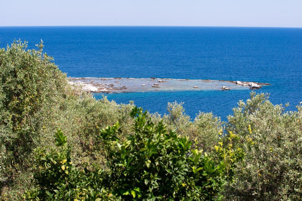 Archodissa Villa Thimonia Buitenkant foto